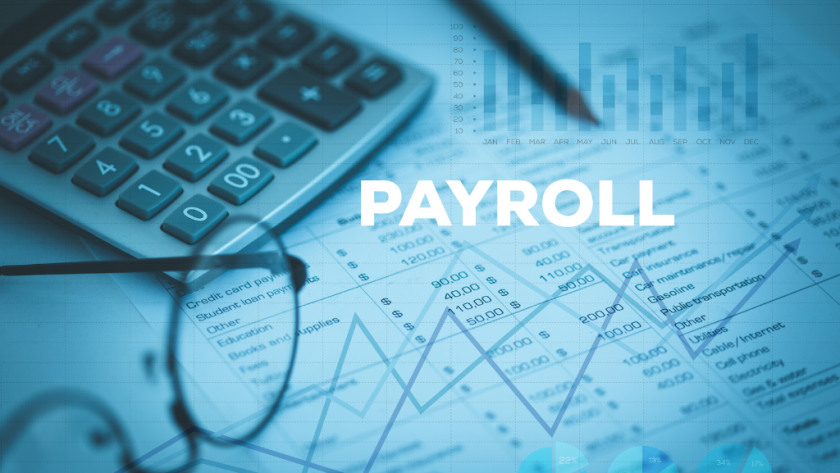 Maximizing Efficiency: The Power of Professional Payroll Services